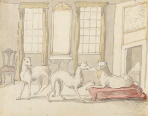 ثلاثة كلاب السلوقي في الغرفة (الجرافيت والقلم والحبر على الورق) بواسطة بيتر كاستيلز